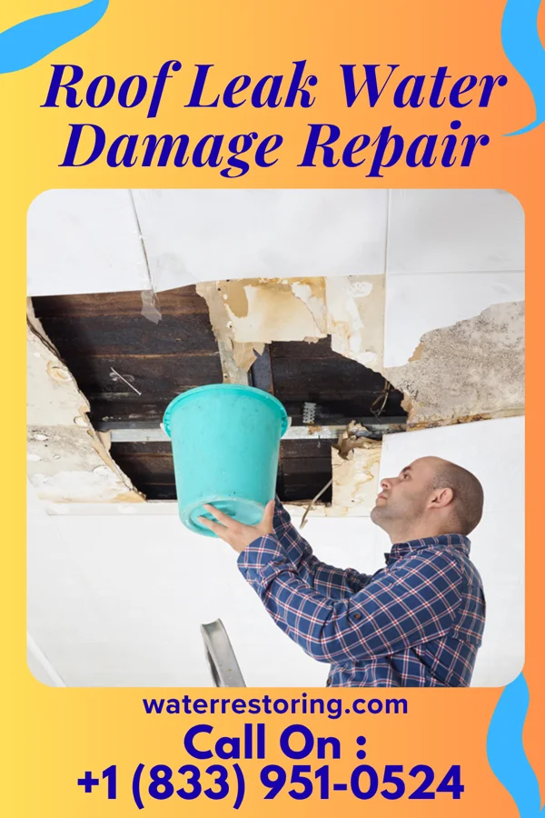 Roof Leak Water Damage Repair in Athens, LA